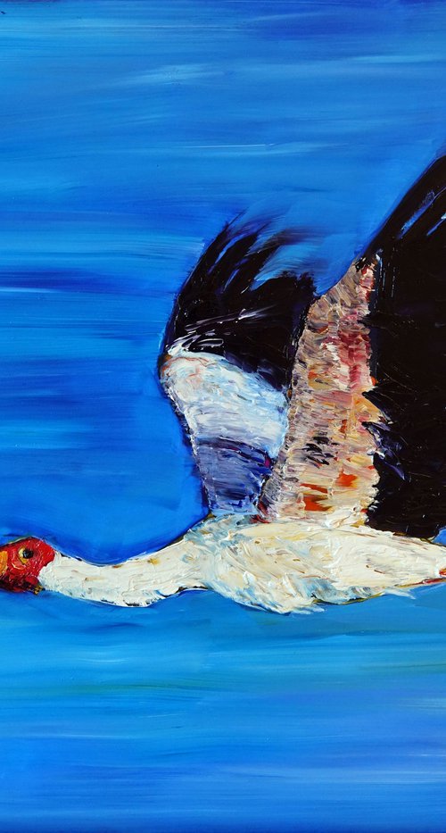 Flying Stork by Marion Derrett