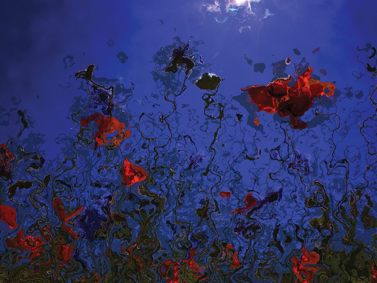 Abstract Botanical Print By Javier Diaz, 79 X 60, Campo De Amapolas, Original Artwork