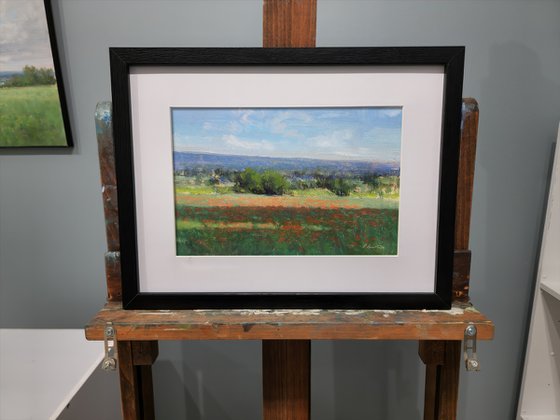 Poppy fields