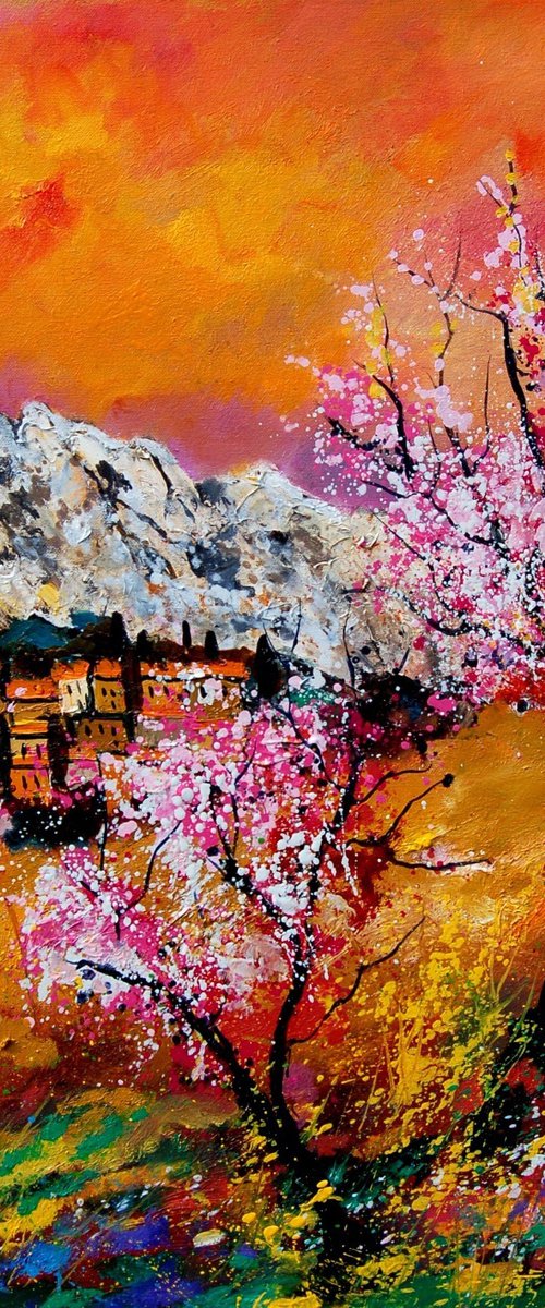Blooming cherry trees in Provence   7623 by Pol Henry Ledent