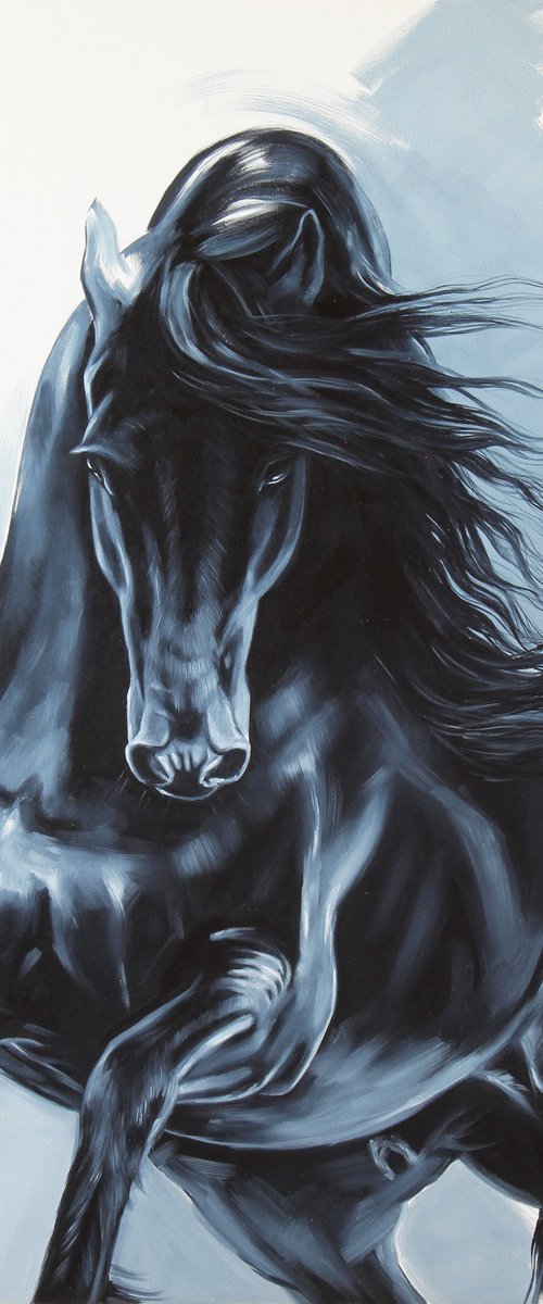 Friesian by Marie Madej
