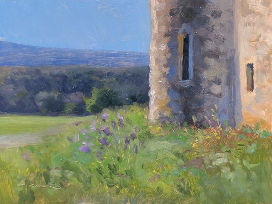 Iris at the edge of the Chapel