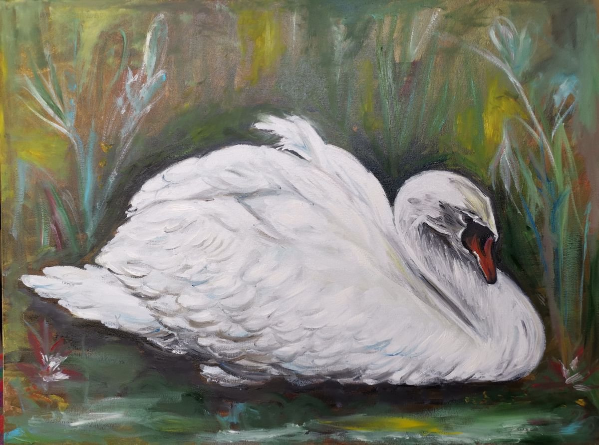 Swan by Elina Venkova