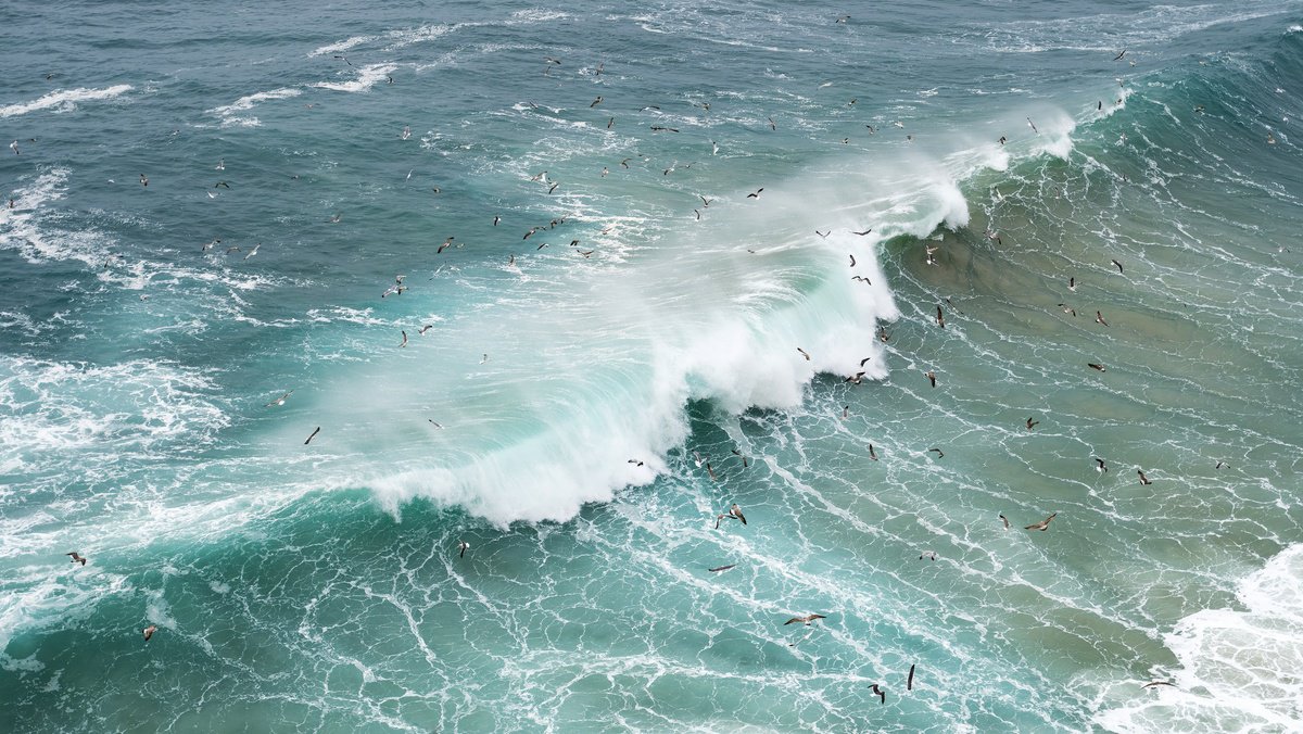 Photorealistic Landscape Photograph By Andrew Lever, 62 X 35, Wave Flock, Original Artwork