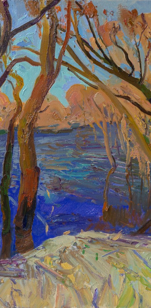 A bay on the Desna River by Victor Onyshchenko