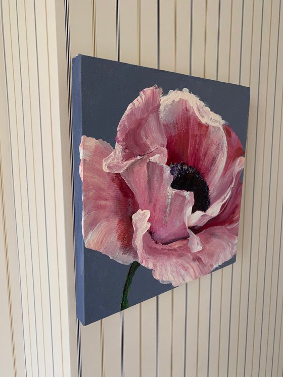 Pink poppy original flower painting on canvas