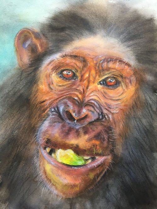Chimpanzee by Ksenia Lutsenko