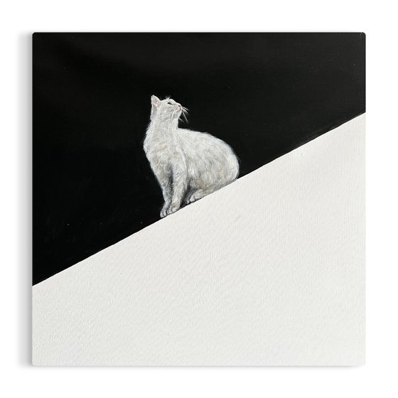 Minimalist Cat Vibes