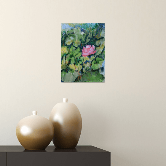 Pink Lotus Pond