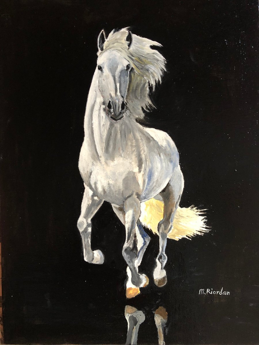 WHITE HORSE by Margaret Riordan