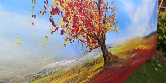 Autumnal Colours - Autumn Landscape