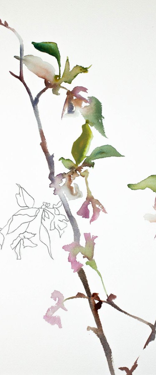 Cherry Blossom by Elizabeth Becker