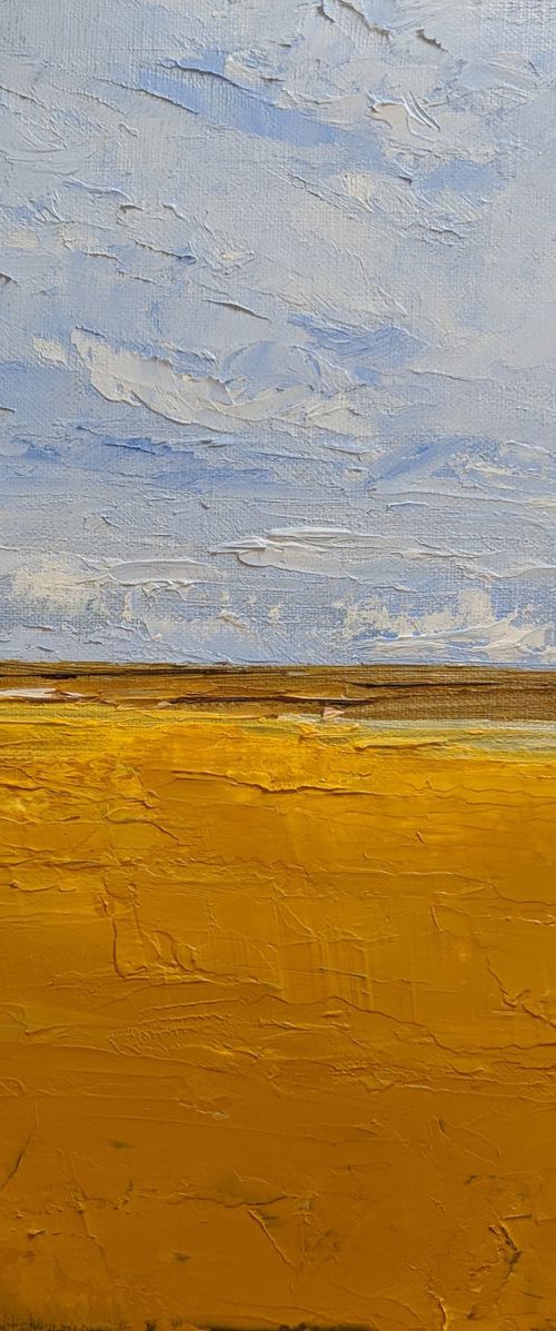 Yellow meadow by Jo Earl
