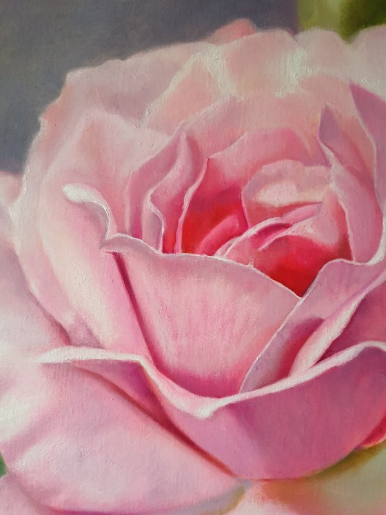 "Sounds of tenderness."  rose flower  liGHt original painting  GIFT (2021)