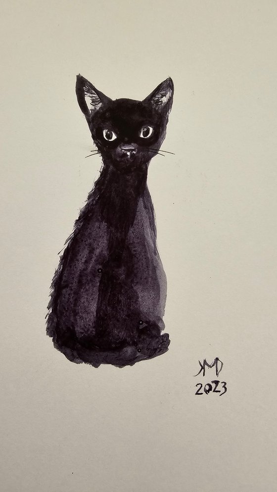 Black Black cat