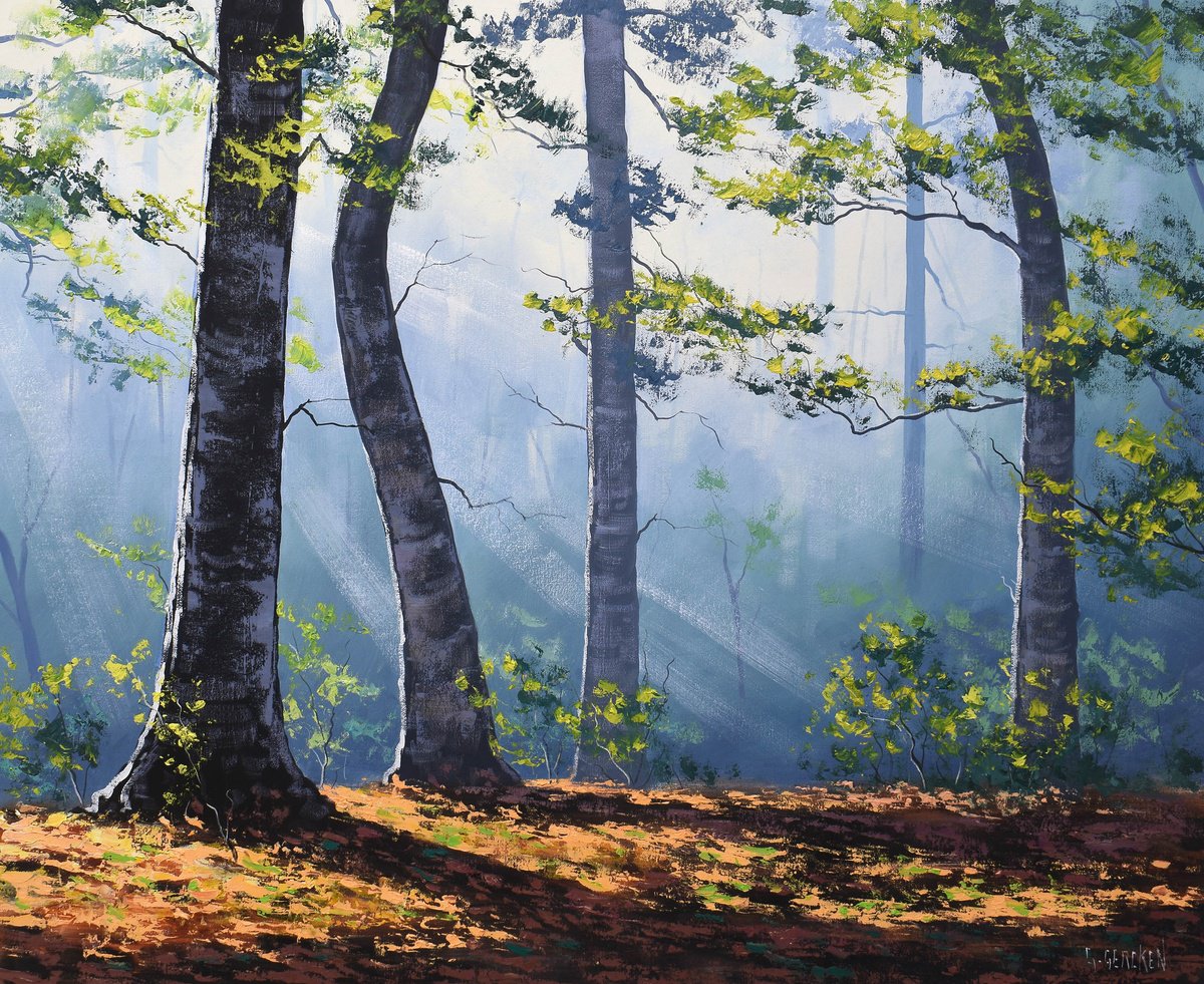 Forest trees and Sun rays by Graham Gercken