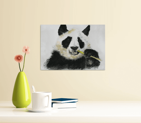 Panda III - Animal portrait /  ORIGINAL PAINTING