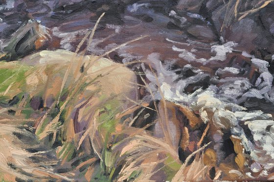 Brittany, coastal stream