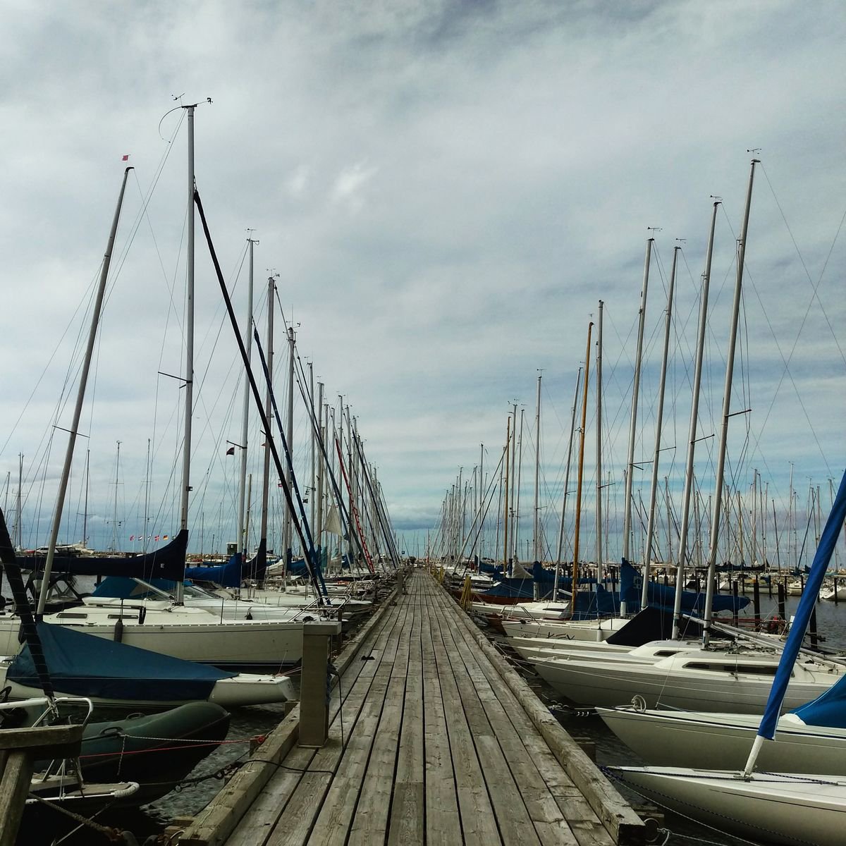 Harbour, 21x21 Inches, C-Type, Framed by Amadeus Long