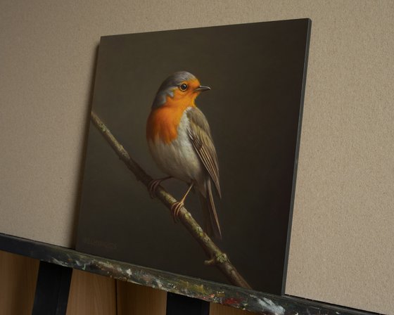 European Robin