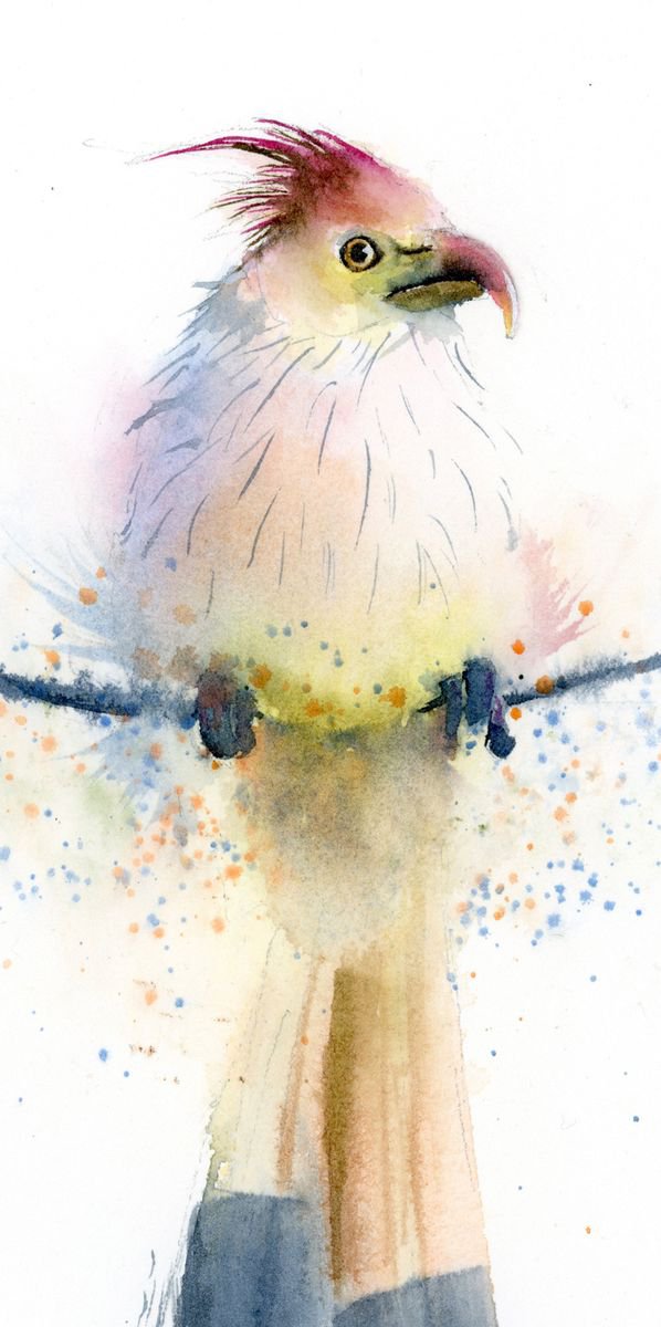 Impressionistic Animal Watercolour By Olga Tchefranov (Shefranov), 6 X 12", Parrot On A Branch, Original Artwork