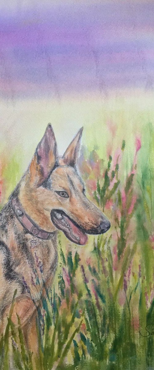 Bella in bloom by Samantha Adams
