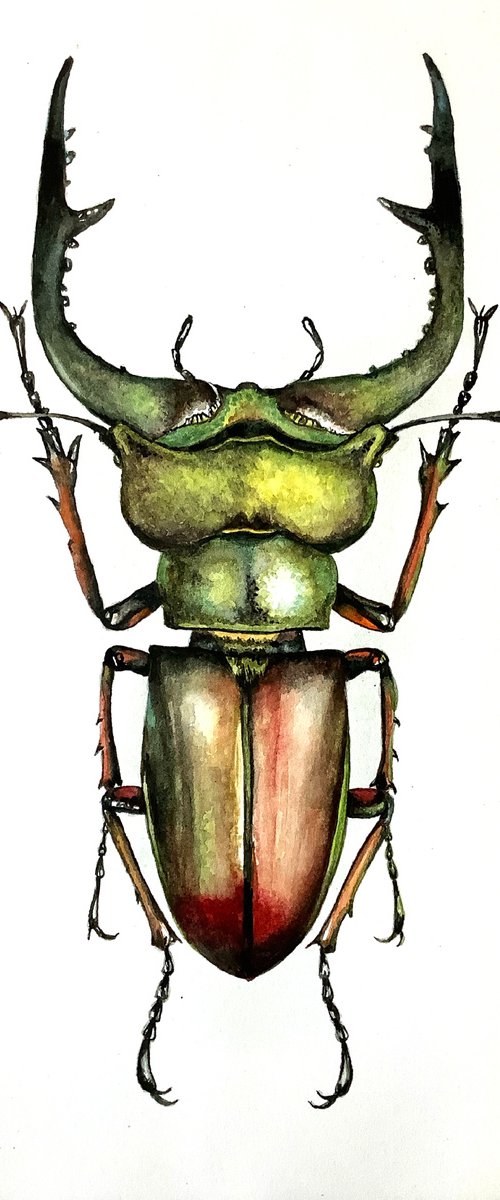 Green Beetle by Lisa Lennon