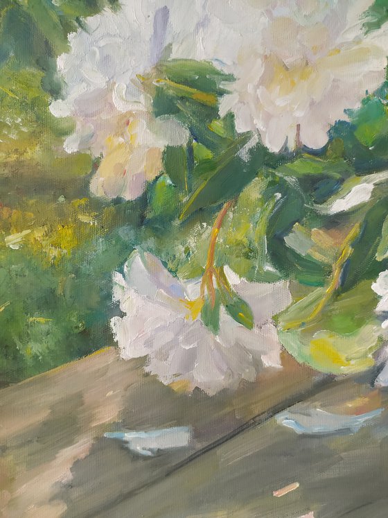 Peonies on the bench