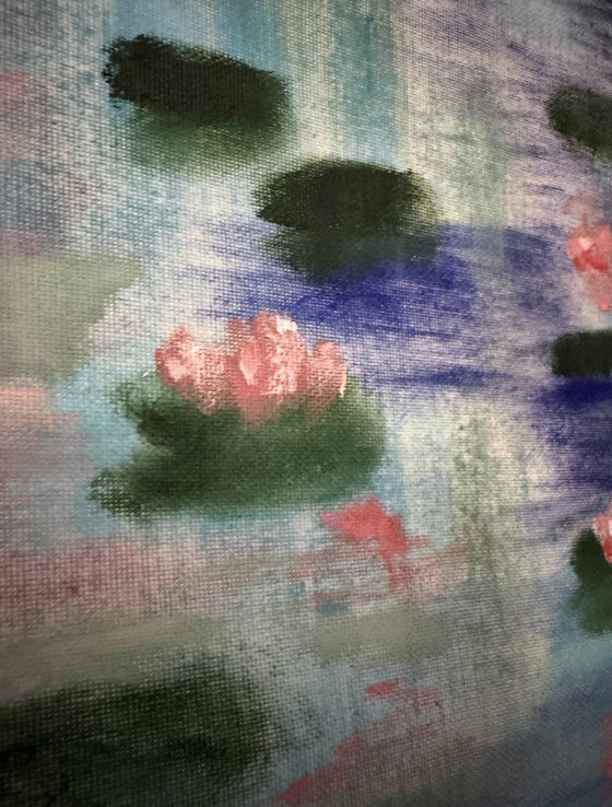 Dreaming water lilies