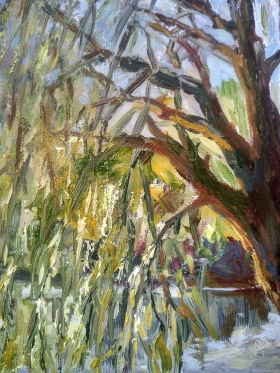 Golden Weeping Willow