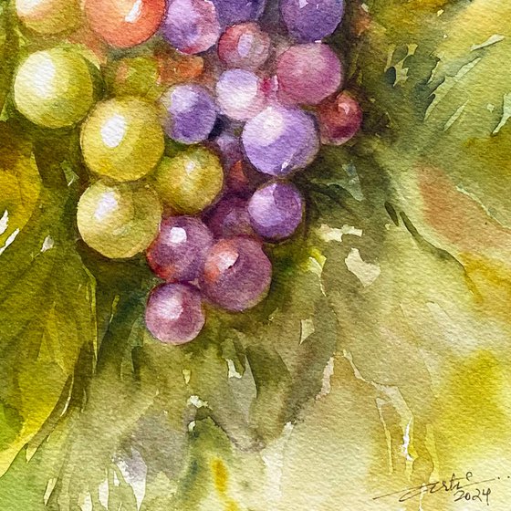 Bunch of Grapes