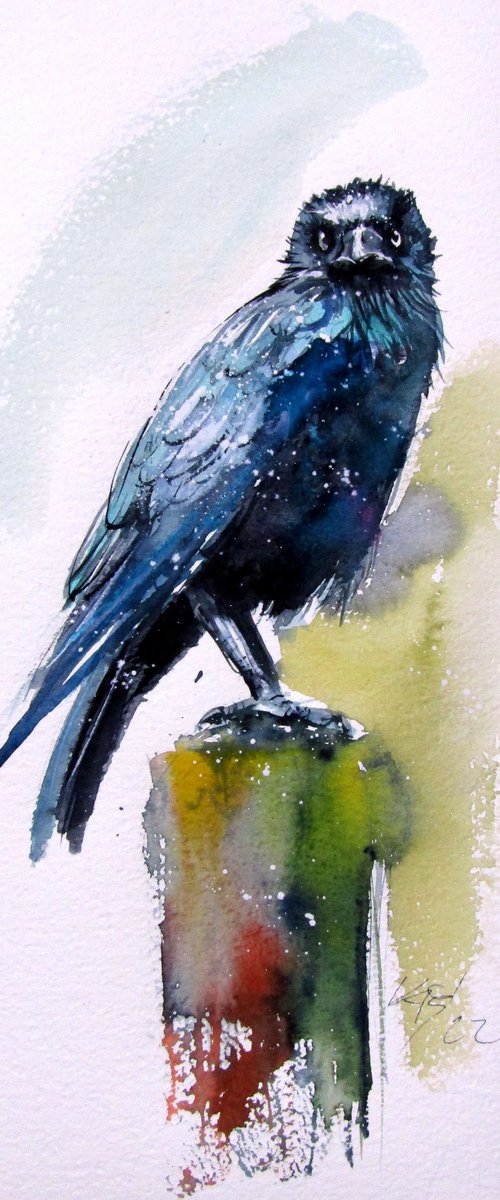 Crow by Kovács Anna Brigitta