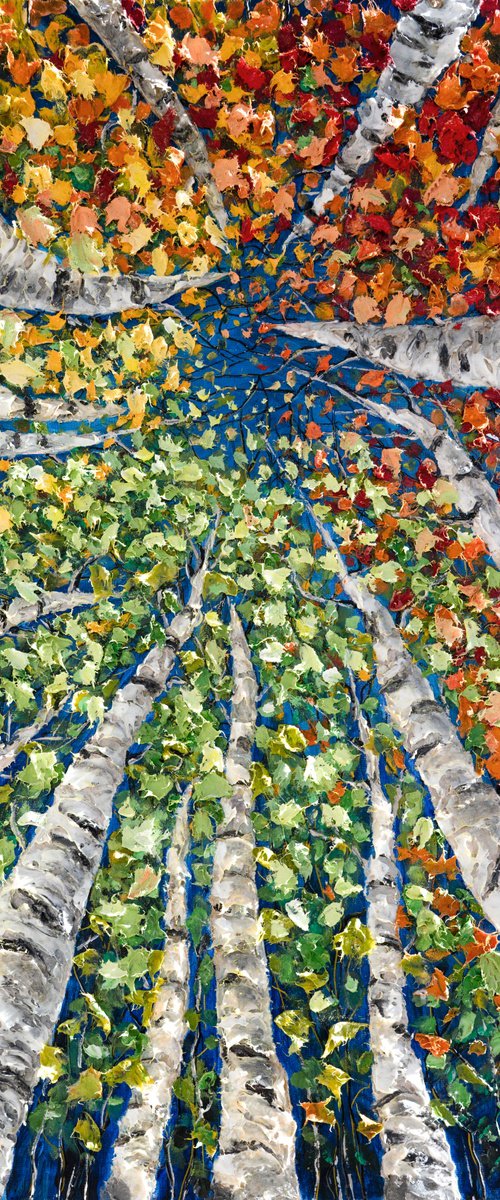 Kaleidoscope Canopy by Lena Owens