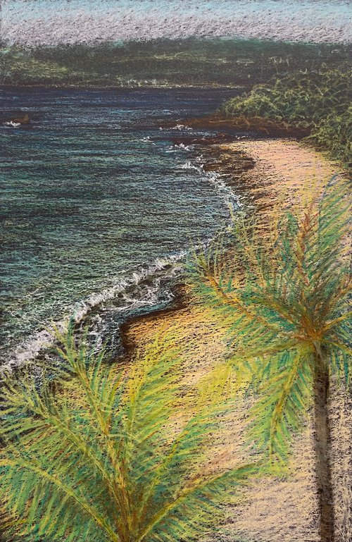 Palm Trees at Dawn by David Lloyd