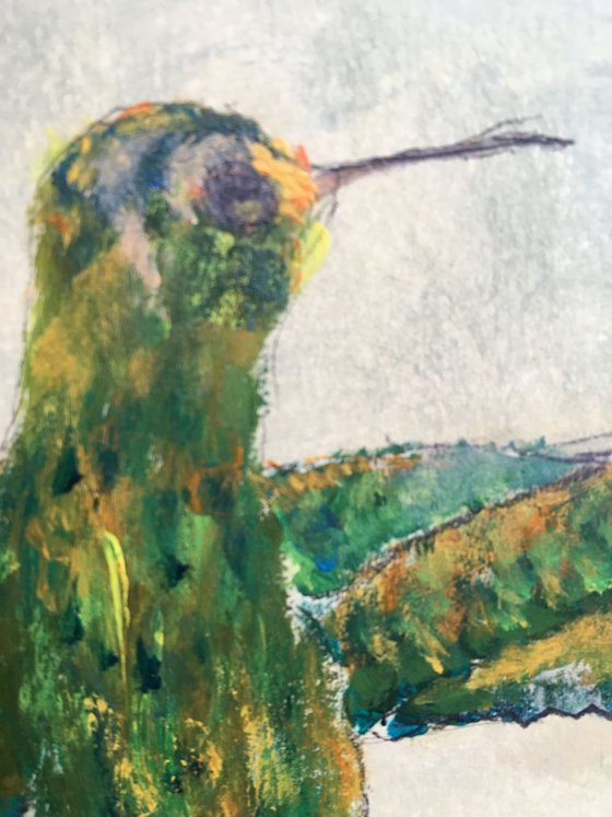 Study of Hummingbird I