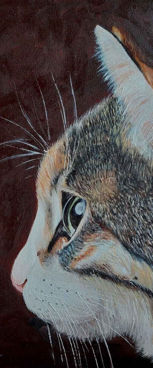 Silent Watcher by Ira Whittaker