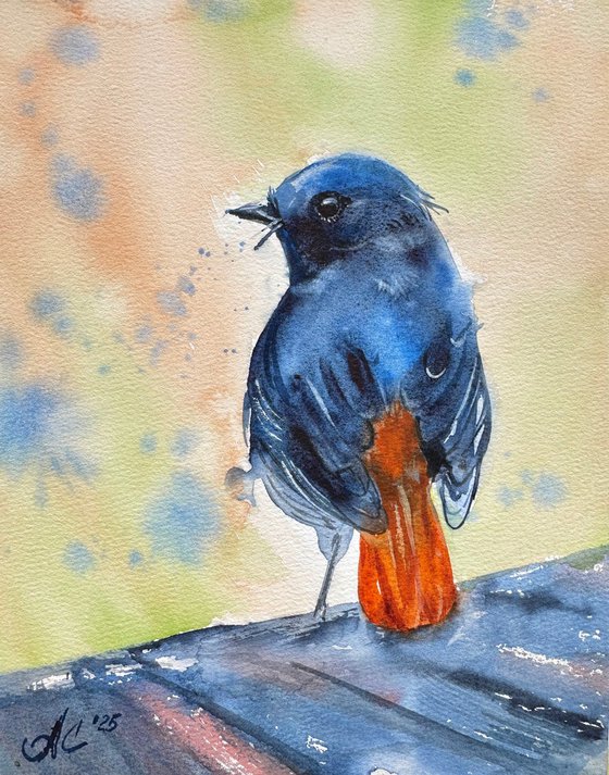 Little Redstart