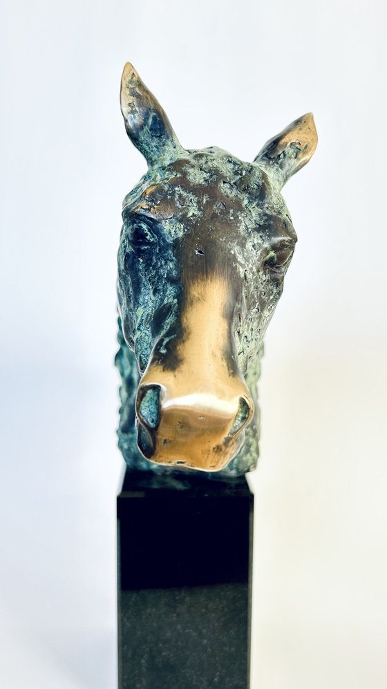 The Noble Hoof, no.V/VIII