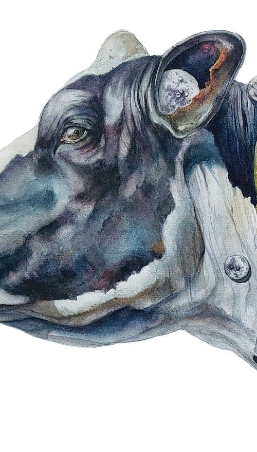 The Portrait of the Moolight by Inga Simonyte Deniz