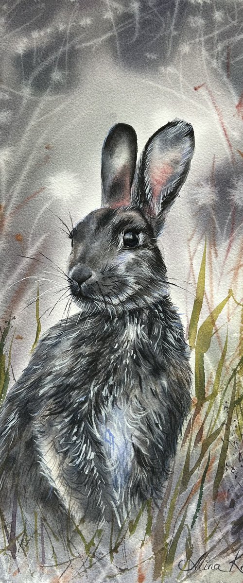 Grey Rabbit by Alina Karpova