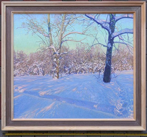 Poplars in February. Tsaritsyno