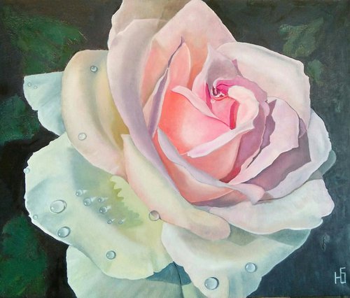 Rose, 60x50 cm, ready to hang. by Yulia Berseneva