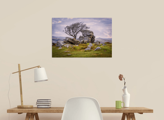 Hawthorn Tree And Granite tor