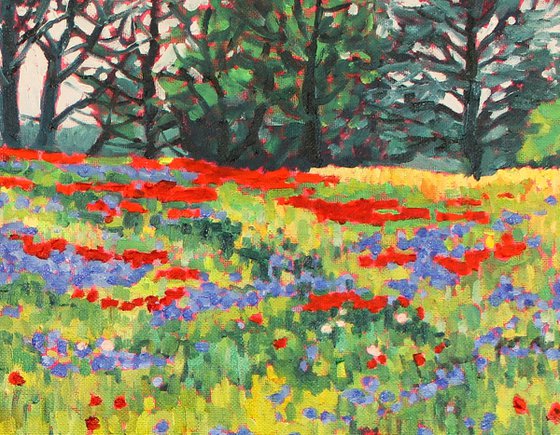 Cornflower Meadow