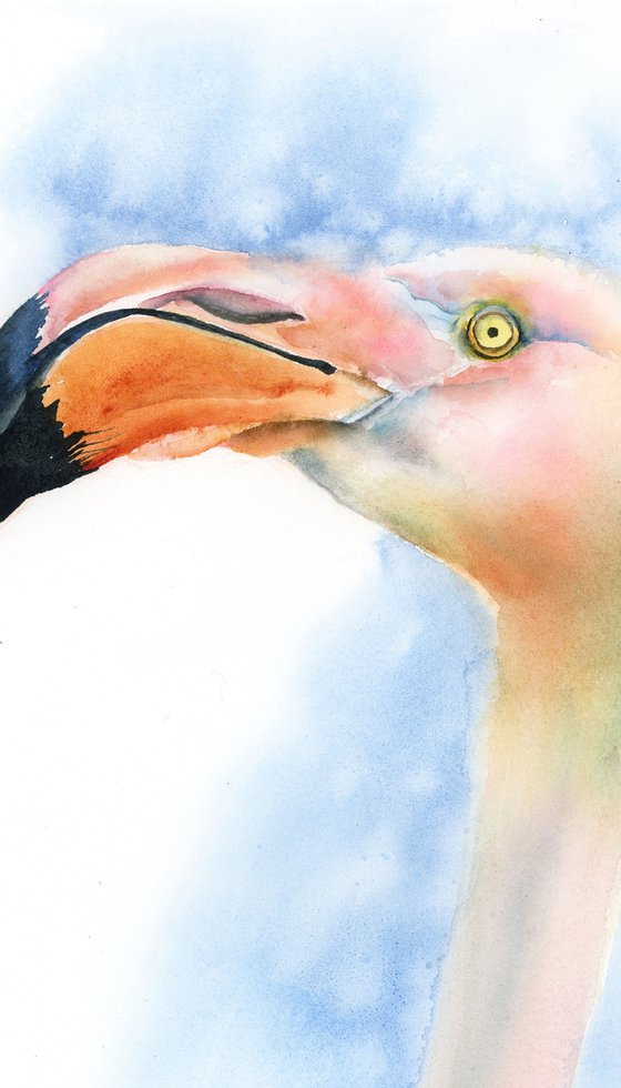 Flamingo  -  Original Watercolor Painting