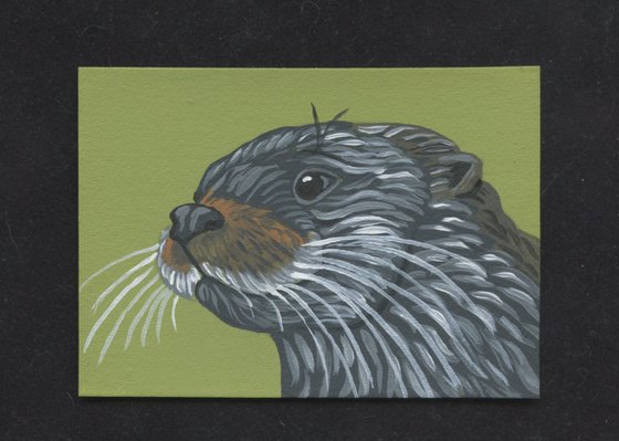 ACEO ATC Original Miniature Painting Otter Wildlife Art-Carla Smale