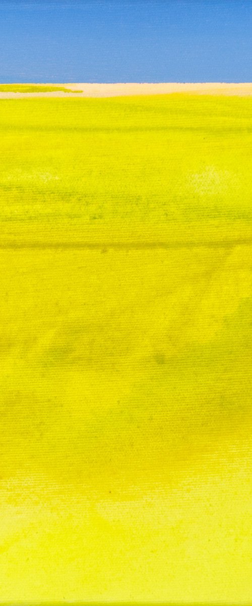 Area 16 by Katrin Roth