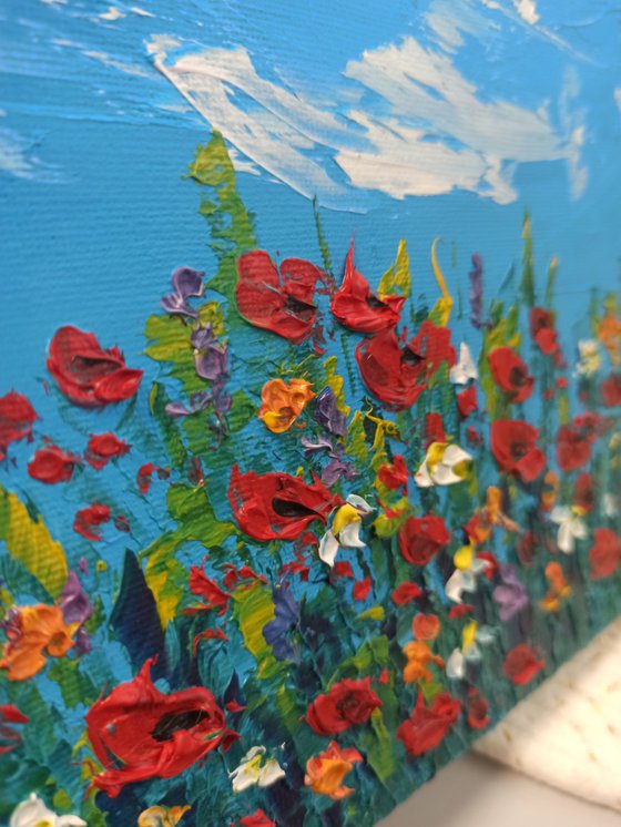 Poppies at the Meadow