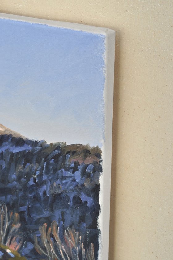 Snowy Path in Mézenc Massif