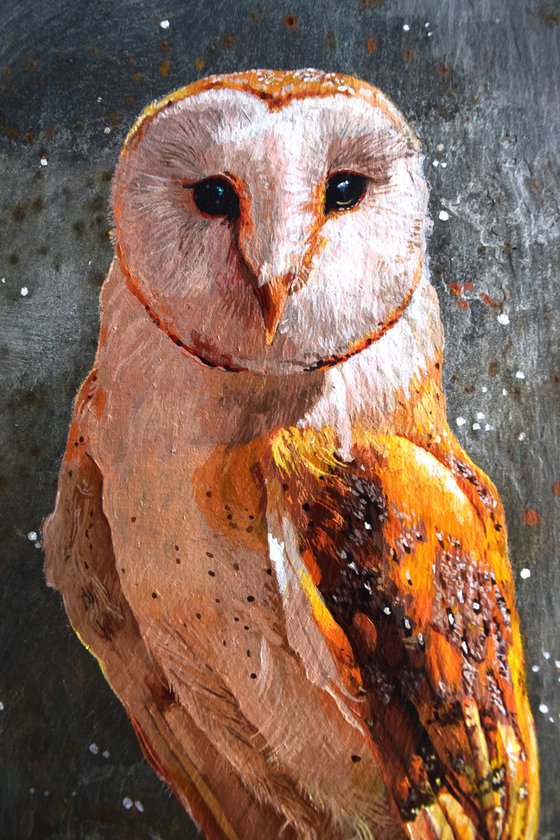 Golden Owl